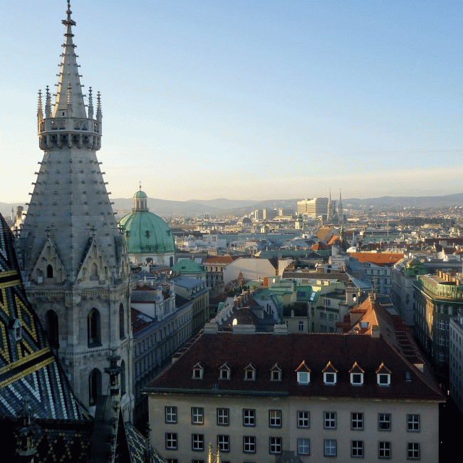 Duomo-Vienna