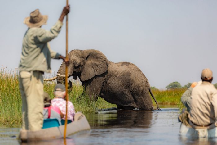Botswana-Elefante-Chobe-National-Park