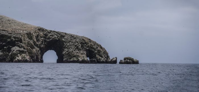 Isole-Ballestas-peru